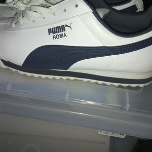 White and blue pumas